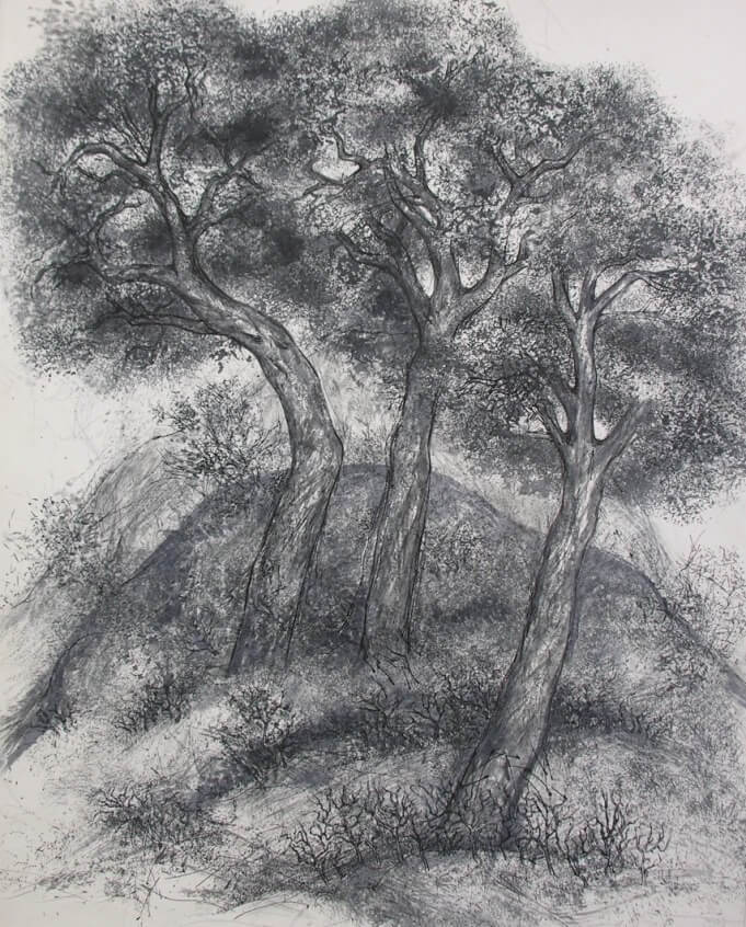 Landscape Trees